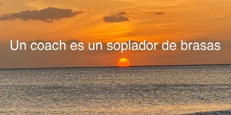 Soplador de brasas